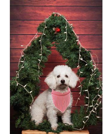 Buy Lionet Paws Red & White Striped Dog Bandana - Triangle Scarf for Stylish Pets - International Shipping Available - Buy Online on GoSupps.com