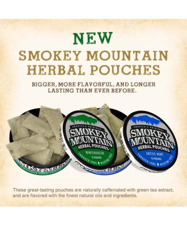 Smokey Mountain Wintergreen Energy Pouches - Nicotine-Free & Tobacco-Free - 5 Cans, 15 Pouches Per Can - Buy Online on GoSupps.com