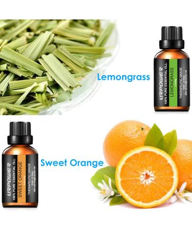 URPOWER 6 Aromatherapy Essential Oils Diffuser Gift Set - Lavender, Peppermint, Sweet Orange, Eucalyptus, Tea Tree, Lemongrass - 100% Pure Oils - 10ml Each - Buy Online on GoSupps.com