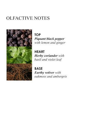 Buy Molton Brown Re-Charge Black Pepper Body Lotion - Luxury Hydrating Lotion for All Skin Types | International Shipping Available - Buy Online on GoSupps.com