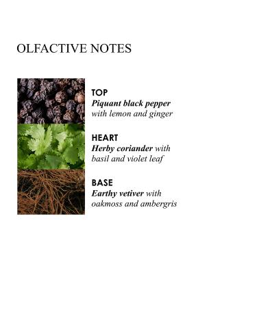 Molton Brown Re-charge Black Pepper Deodorant Stick 2.6 oz - Long-lasting Protection - Buy Online on GoSupps.com