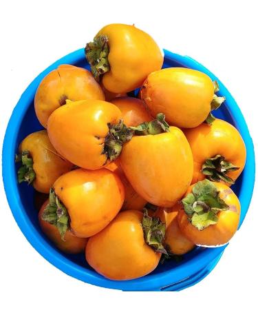 California Hachiya Persimmons Organic (5 lbs)