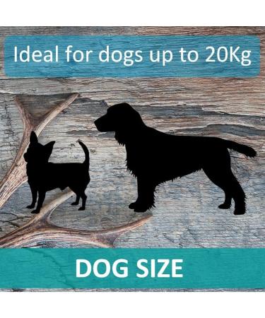 Antlers for Dogs Ideal for Medium Dogs Sustainable Naturally Shed Deer Antlers for Dogs Dog Toys Dog Treats Dog Antler Reindeer Antlers for Dogs Natural Dog Chews Dog Chew Toys M (Pack of 1) - Buy Online on GoSupps.com