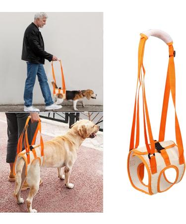 Dog Lifting Harness for Back Legs - Adjustable Support Rehab for Elderly & Injured Dogs (Medium) - Buy Online on GoSupps.com