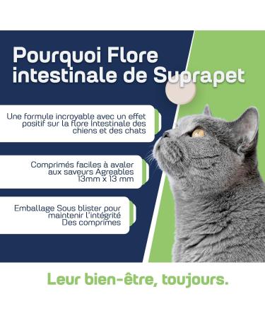 Suprapet Intestinal Flora Dogs and Cats 30 tablets - Natural complementary food with lactic ferments probiotics Vitamin C for the intestine bacterial flora and immune defenses - Buy Online on GoSupps.com