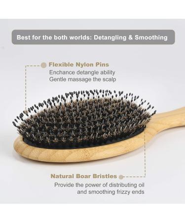 BESTOOL Boar Bristle Hair Brush Set - For Women, Men, Kids - Detangling, Softening, & Silky Shine - Regular & Small Sizes - Ideal for Thick, Fine, Curly Hair - Buy Online on GoSupps.com