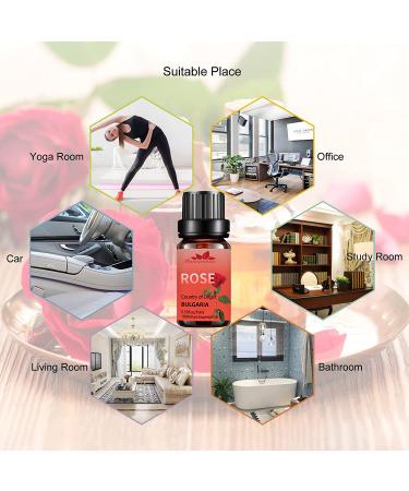 100% Pure Rose Essential Oil for Skin - 10ml Therapeutic Grade Aromatherapy Oil for Diffuser, Soap & Candle Making - Buy Online on GoSupps.com