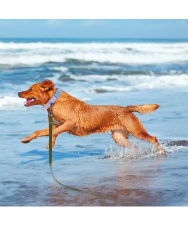 Wolfone 3m Army Green Dog Leash - Waterproof Durable Training Line for Recall Swimming Camping & Beach Activities - Buy Online on GoSupps.com