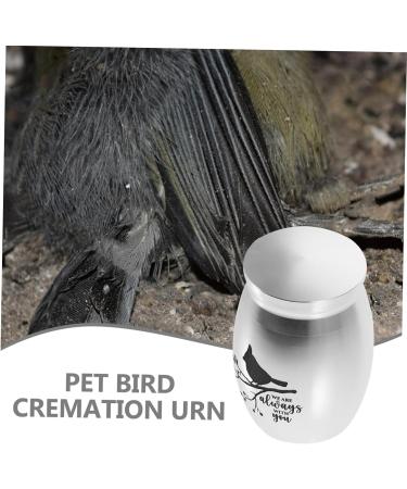 BESPORTBLE 3pcs Parrot Urn Pet Small Urns for Ashes Dog Urns for Ashes Cat Urns for Ashes Stainless Steel 4.00X3.00X3.00CMx3pcs Silverx3pcs - Buy Online on GoSupps.com