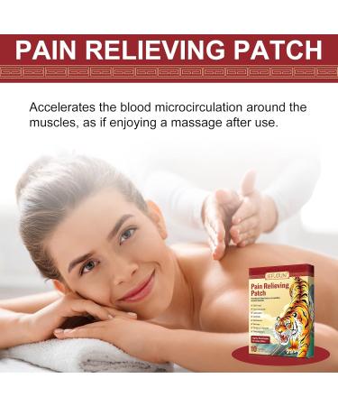 Pain Relief Patch - 10 Pieces for Knee Back and Neck Pain Relief | Heat Therapy Anti-Pain Plaster for Sore Muscles - Buy Online on GoSupps.com