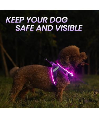 Buy PCEOTLLAR LED Dog Harness - Shining & Reflective Light-Up Harness for Small & Medium Dogs - Breathable & Charging - Purple - Buy Online on GoSupps.com