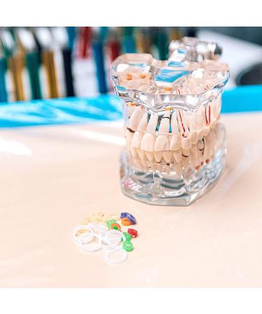 JMU Orthodontic Neon Elastics 3/16 Inch Heavy 6.5oz 500 Pack - Latex Free Dental Rubber Bands - Made in USA - Buy Online on GoSupps.com