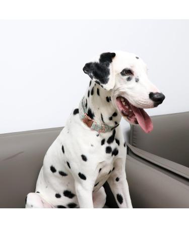 Unique Style Paws Adjustable Dog Collar & Leashes for Small to Large Dogs & Cats | International Shipping - Buy Online on GoSupps.com