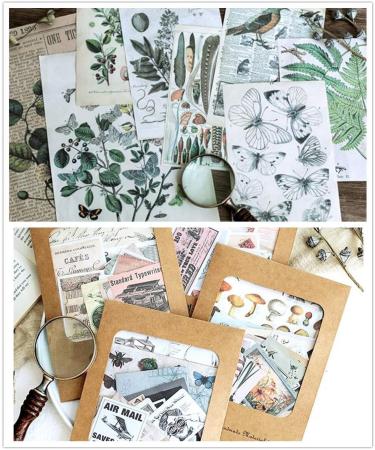 DESEACO Vintage Aesthetic Posters for Room Decor - Botanical Wall Art and Cute Journaling Supplies for Teen Girls - Buy Online on GoSupps.com