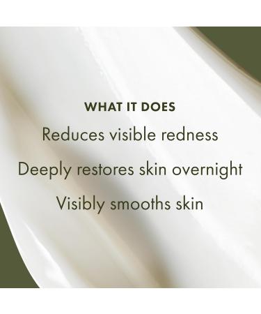 Origins Mega-Mushroom Overnight Recovery Skin Barrier Cream | For Deep Overnight Hydration & Reduced Visible Redness | With Reishi Mushroom Fermented Chaga Mushroom & Evening Primrose 1.7 Fl Oz - Buy Online on GoSupps.com