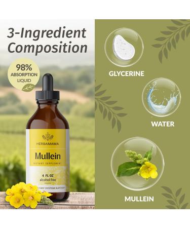 HERBAMAMA Liquid Drops Kit - Bundle of Super Immune Mushroom Complex and Mullein Leaf Tincture 4 fl oz - Vegan Non-GMO Sugar & Alcohol-Free - 2 Pack - Buy Online on GoSupps.com