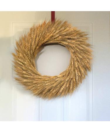 YoleShy Dried Wheat Stalks - 200 Stems Natural Wheat Decor (15.7 Inches) - Ideal for Home, Kitchen, Christmas, Wedding - 200 Pcs - Buy Online on GoSupps.com