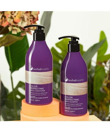 16.9 Fl Oz Purple Toning Shampoo for Blonde & Gray Hair - Eliminate Brassy & Yellow Tones - Infused with Cocos Nucifera Oil - Sulfate, Paraben, & Gluten Free - Men & Women - Buy Online on GoSupps.com