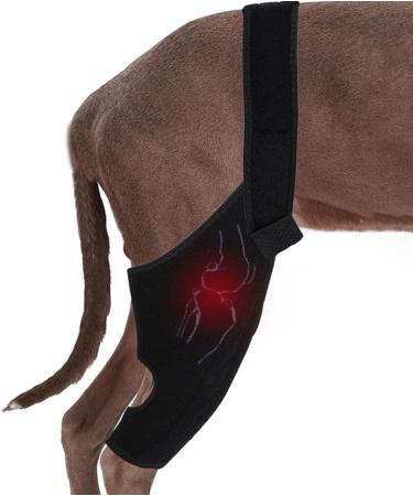 Dog Hinds Leg Support Large Dog Rear Leg Support | Breathable Leg Protector Large Rear Support High Elasticity with Metal Strip for Disabled Dog Black Small - Buy Online on GoSupps.com