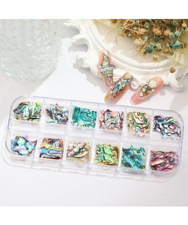 NICENEEDED 24 Grids Seashell Nail Art Nail Flakes Irregular Abalone Seashell Nail Art Slices Colorful Mermaid Nail Jewels Sequins Nail Charms for Women Nail Decoration - Buy Online on GoSupps.com