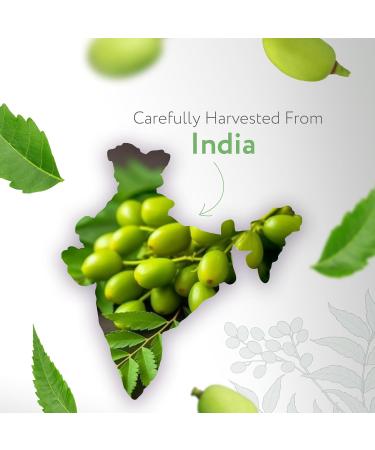 HBNO Organic Neem Oil - 4 oz (120ml) Value Size - Ideal for Face wash Lotions Skincare and Hair Care Products (Glass Bottle) Organic Neem 4 Fl Oz (Pack of 1) - Buy Online on GoSupps.com