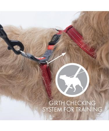 Ezydog Anti Pull Dog Harness - Crosscheck Adjustable Reflective Dog Training Accessory for Small Medium & Large Dogs (Size S Red) - Buy Online on GoSupps.com