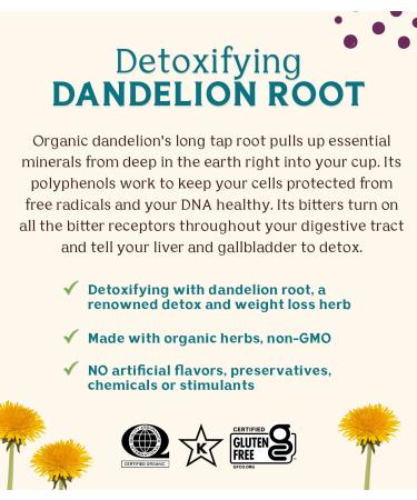 Teeccino Organic Dandelion Dark Roast Herbal Tea - Caffeine Free, 25 Bags (5.3 oz) - Buy Online on GoSupps.com