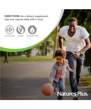 NaturesPlus Ultra One Iron Free - 90 Capsules - High Potency Daily Multivitamin & Mineral Supplement for Natural Energy - Vegetarian & Gluten-Free - Buy Online on GoSupps.com