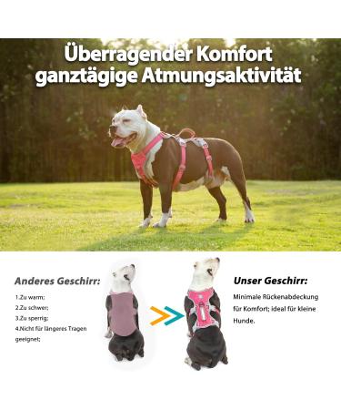 Buy Huntboo Dog Safety Dishes & Harness for Small Dogs - Reflective Waterproof Adjustable Vest in Rose Red - Buy Online on GoSupps.com