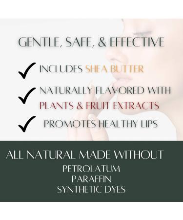 Caramel Apple Natural Lip Balm Moisturizing Lip Care Stick with Shea Butter & Vitamin E Plant-Based Tint-Free Lip Balm Suitable for All Ages - Pack of 3 Caramel Apple 1 Count (Pack of 3) - Buy Online on GoSupps.com