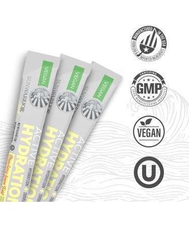 Electrolyte Powder Hydration Packets B12 Elderberry | Strawberry Lemon Twist Flavored 18 Stick Packs Box | Vegan and Plant-Based Sugar Free - Buy Online on GoSupps.com