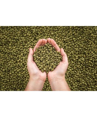 Brazilian Santos Green Unroasted Whole Bean Coffee - 3 lb Bag by Olde Brooklyn Coffee - Buy Online on GoSupps.com