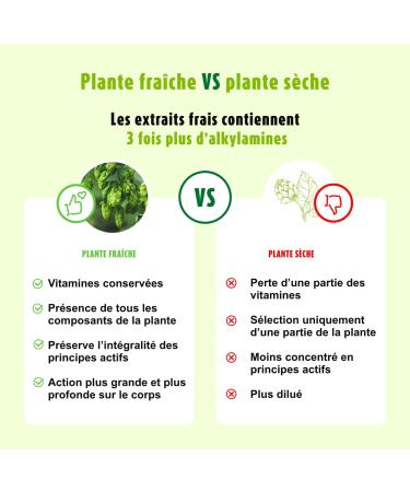 A. Vogel Sleep Food Supplement with Fresh Plant Extract 50 ml - Buy Online on GoSupps.com