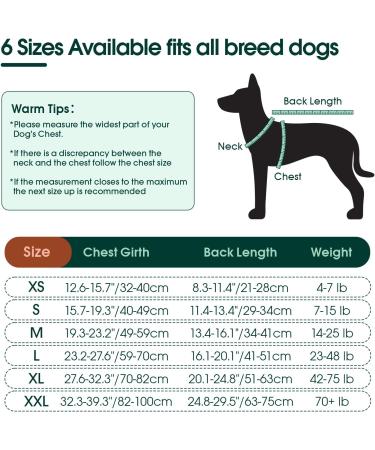 Kuoser Dog Body After Surgery - Breathable Post-Op Suit for Male & Female Dogs Leakage Protection Anti-Licking Brown XS (1 Pack) - Buy Online on GoSupps.com