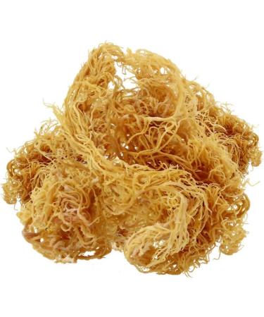 Irish Sea Moss - 100% natural superfood - Golden Sea Moss - sun-dried - bulk to prepare your drink - Buy Online on GoSupps.com