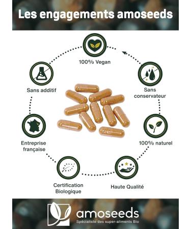 Organic Guarana Extra Strong 5400mg per day | 10% Natural Caffeine | 90 vegan capsules | Physical Boost Concentration | Superior Quality - Buy Online on GoSupps.com