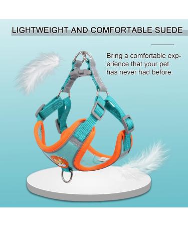Rennaio No Pull Dog Harness & Leash Set for Small/Medium Dogs - Adjustable Ultra Comfortable with Puppy Dishes & Clips - Seeblau S - Buy Online on GoSupps.com