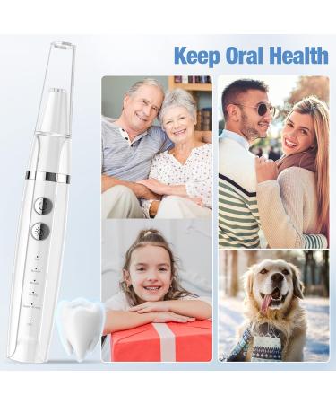 Wagner Stern Teeth Whitening Kit: 5 Modes Plaque Remover for Teeth Stain Removal - Dental Plaque Tool with 2 Heads - Buy Online on GoSupps.com