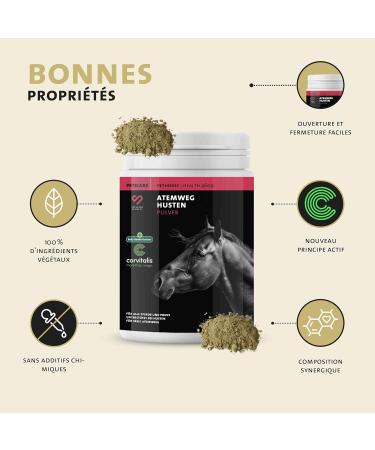 Peticare Cough Powder for Horses | Airways & Colds Support | Promotes Mucus Dissolution | Natural Herbal Powder Formula | No - Buy Online on GoSupps.com