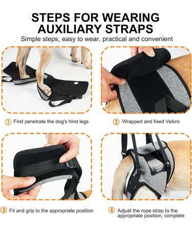 Hamon Portable Dog Harness for Hind Legs | Dog Lifting Aid for Older & Sick Dogs (Large) - Buy Online on GoSupps.com