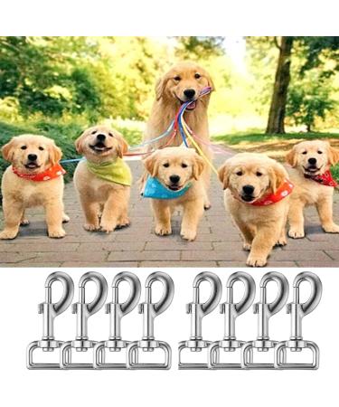 8 Pieces Stainless Steel Vertebral Carabiner Set - Snappy & Bolt Carabiners for Dog Leash Collar Bucket Hammock & Horse Tack - Buy Online on GoSupps.com