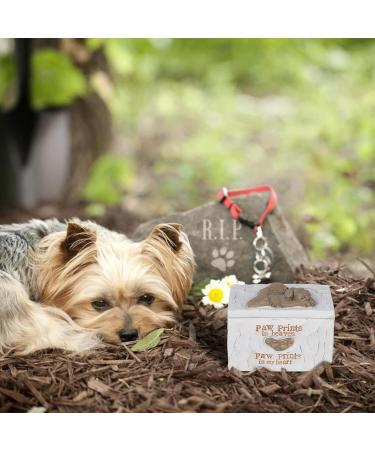 ACTLATI Engraved Resin Pet Urn for Dogs Ashes - Hand-Crafted Cremation Memorial Keepsake Box - Buy Online on GoSupps.com