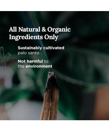 Magnificent 101 Palo Santo Smudge Candle - Natural Soy Wax Aromatherapy & Chakra Healing (170g) for Energy Cleansing | International Shipping Available - Buy Online on GoSupps.com