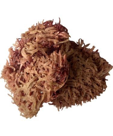 Red Sea Moss Dried Seaweed Salad Seaweed 200g - Buy Online on GoSupps.com