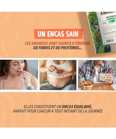  Plan te au Naturel Whole Organic Shelled Almonds - 250g - Buy Online on GoSupps.com