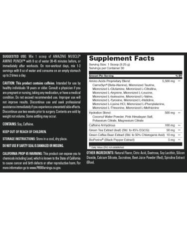 Amino Punch - Grape Candy Flavor | 30 Servings | Premium Amino Acids with Caffeine & Green Tea | Made in USA - Buy Online on GoSupps.com