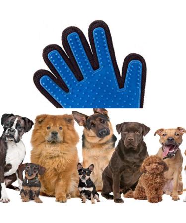 Pet Grooming Glove & Deshedding Brush for Cat & Dog - Gentle Hair Remover Mitt - 260 Silicone Tips - Right Hand Fit - Buy Online on GoSupps.com