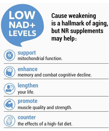 Coutihot Liposomal Nicotinamide Riboside TMG & Trans-Pterostilbene 2000MG Ultra Pure NR Supplet Highest bioavailability (60 Count) - Buy Online on GoSupps.com