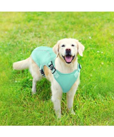 Kuoser Cool Vest for Dogs | Cooling Jacket & Coat for Outdoor Activities | Ventilated Dog Cooling Vest in Green - Buy Online on GoSupps.com