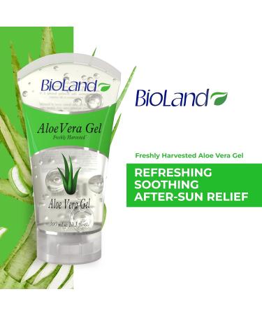 Organic Aloe Vera Gel Freshly Harvested & Cold Processed Hydrating Gel for Sunburn Relief Daily Moisturizer for All Skin Types 10.14 fl oz (300 mL) 10.1 Fl Oz (Pack of 1) - Buy Online on GoSupps.com